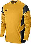 Nike Academy 14 Midlayer gold